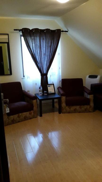 Pensiunea Family Zone Rosiori de Vede Экстерьер фото